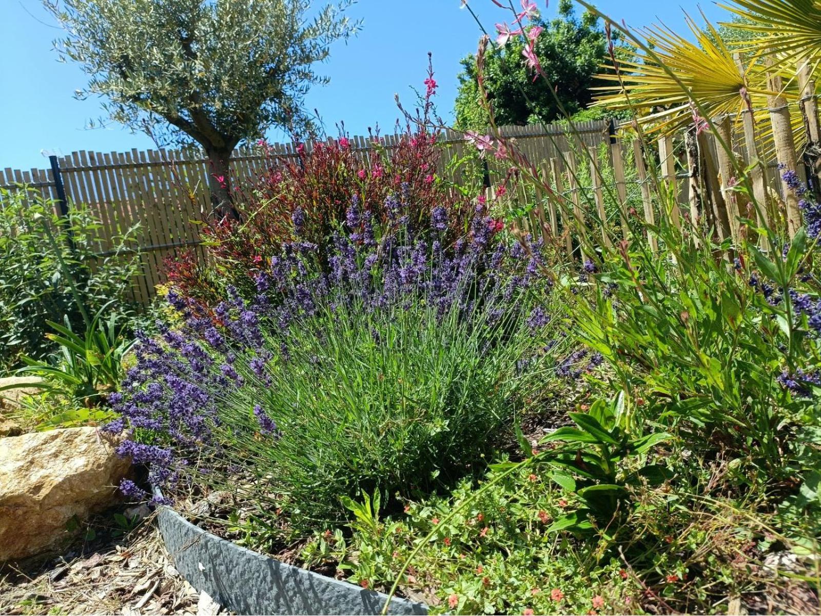 Apb Spa Locations Avec Jacuzzi Privatif Saint-Jean-de-Monts Esterno foto
